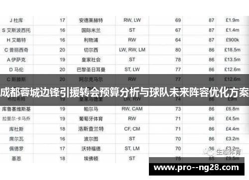 成都蓉城边锋引援转会预算分析与球队未来阵容优化方案