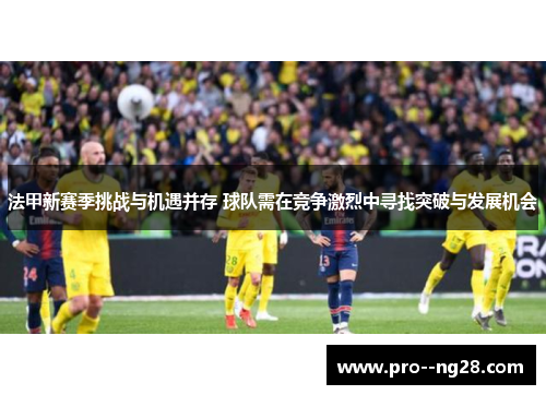 法甲新赛季挑战与机遇并存 球队需在竞争激烈中寻找突破与发展机会