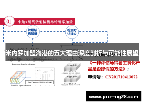 米内罗加盟海港的五大理由深度剖析与可能性展望