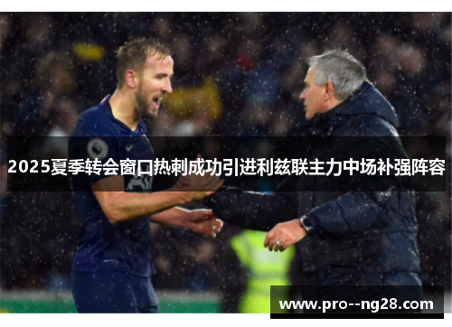 2025夏季转会窗口热刺成功引进利兹联主力中场补强阵容