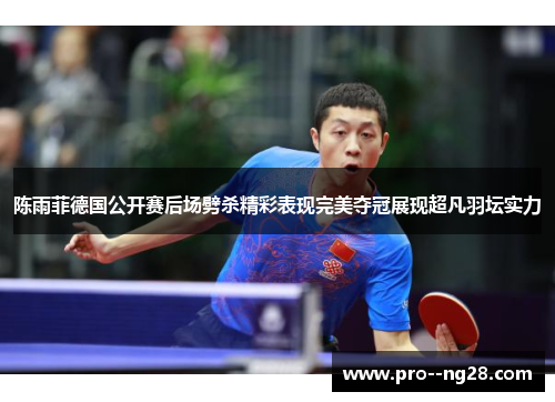 陈雨菲德国公开赛后场劈杀精彩表现完美夺冠展现超凡羽坛实力