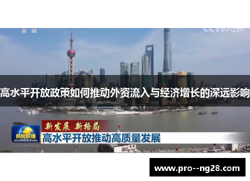 高水平开放政策如何推动外资流入与经济增长的深远影响