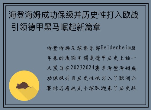 海登海姆成功保级并历史性打入欧战 引领德甲黑马崛起新篇章
